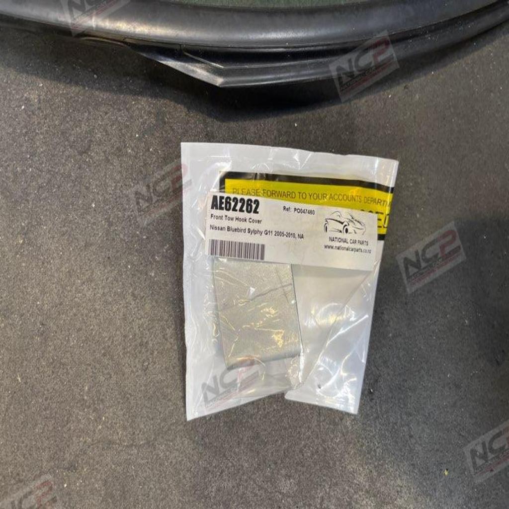 Bluebird Sylphy · G11 2005-2010